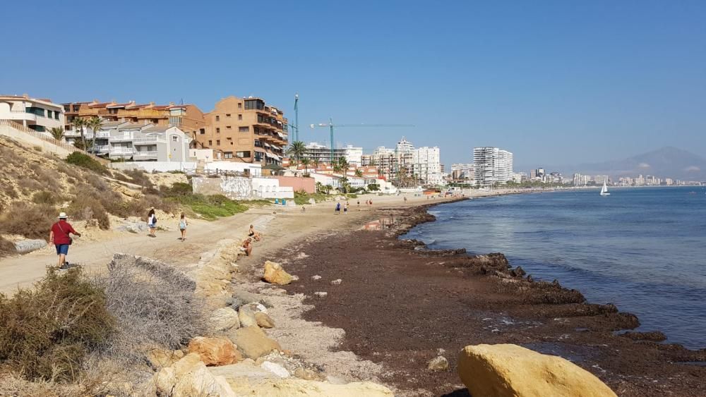 Meteorología prevé un otoño más cálido de lo normal con un último fin de semana tórrido en Alicante