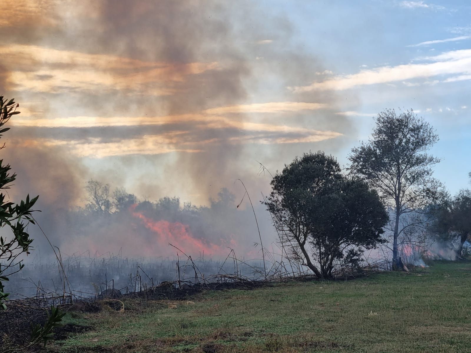 Incendi de matolls a l'Estartit