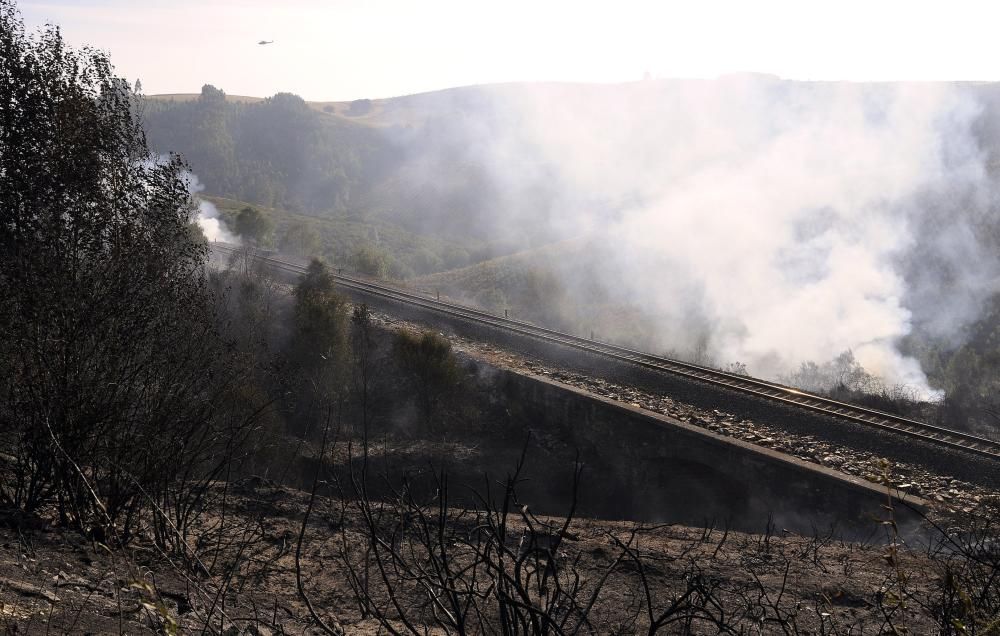 Incendio forestal en Lalín