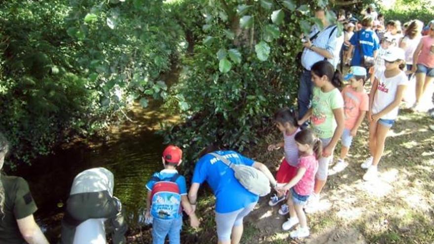 Niños participando en una actividad sobre naturaleza. / FdV