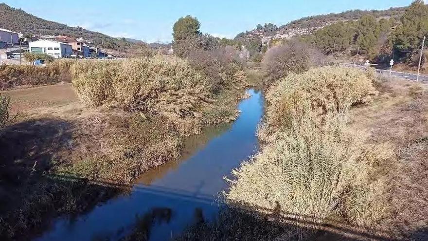 Investigan la muerte violenta de un hombre que apareció en un bosque de Barcelona