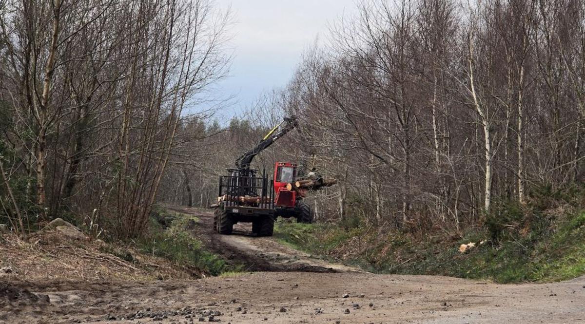 Un tractor cargando madera talada. |   //  M. MÉNDEZ