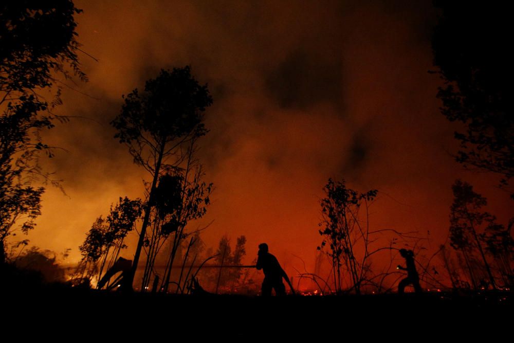 The Wider Image: Indonesia's firefighters on ...