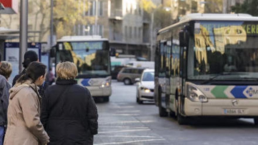 Stadtbusse in Palma de Mallorca.