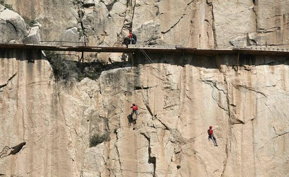 ctv-5fy-arc 206884 g