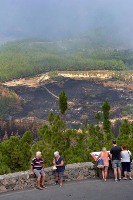 INCENDIO CUMBRE