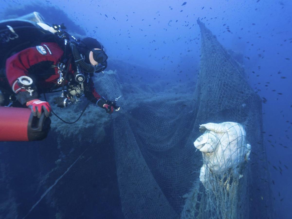 Eine in einem Geisternetz verendete Schildkröte. | FOTO: CATERINA DE SETA/SDSS