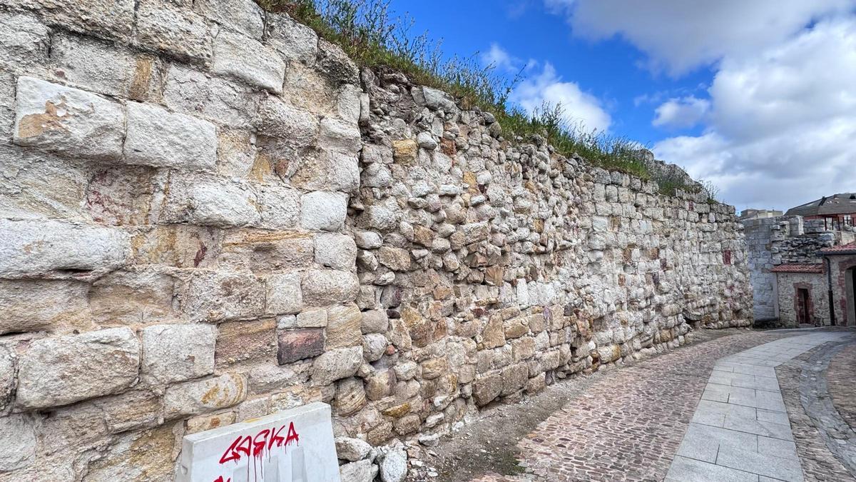 Muralla de Zamora