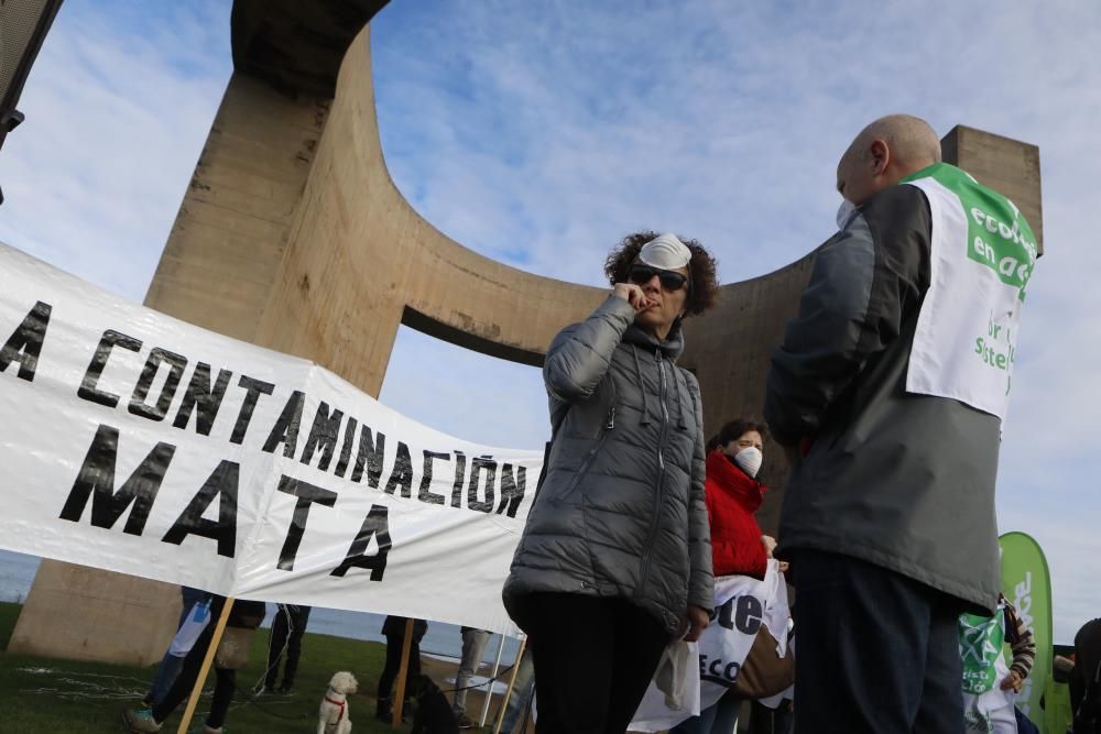 Manifestación "Asturies, un futuro sin carbón" de colectivos ecologistas.