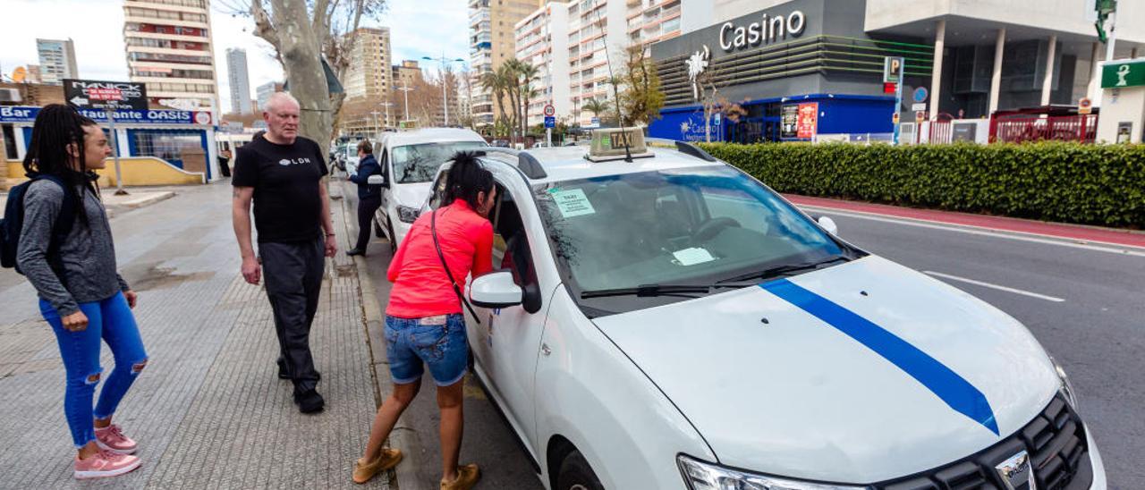 Varios taxis en una parada de Benidorm.