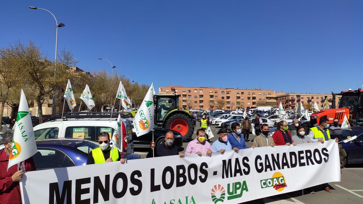 Manifestantes en Salamanca en contra de la sobreprotección del lobo.
