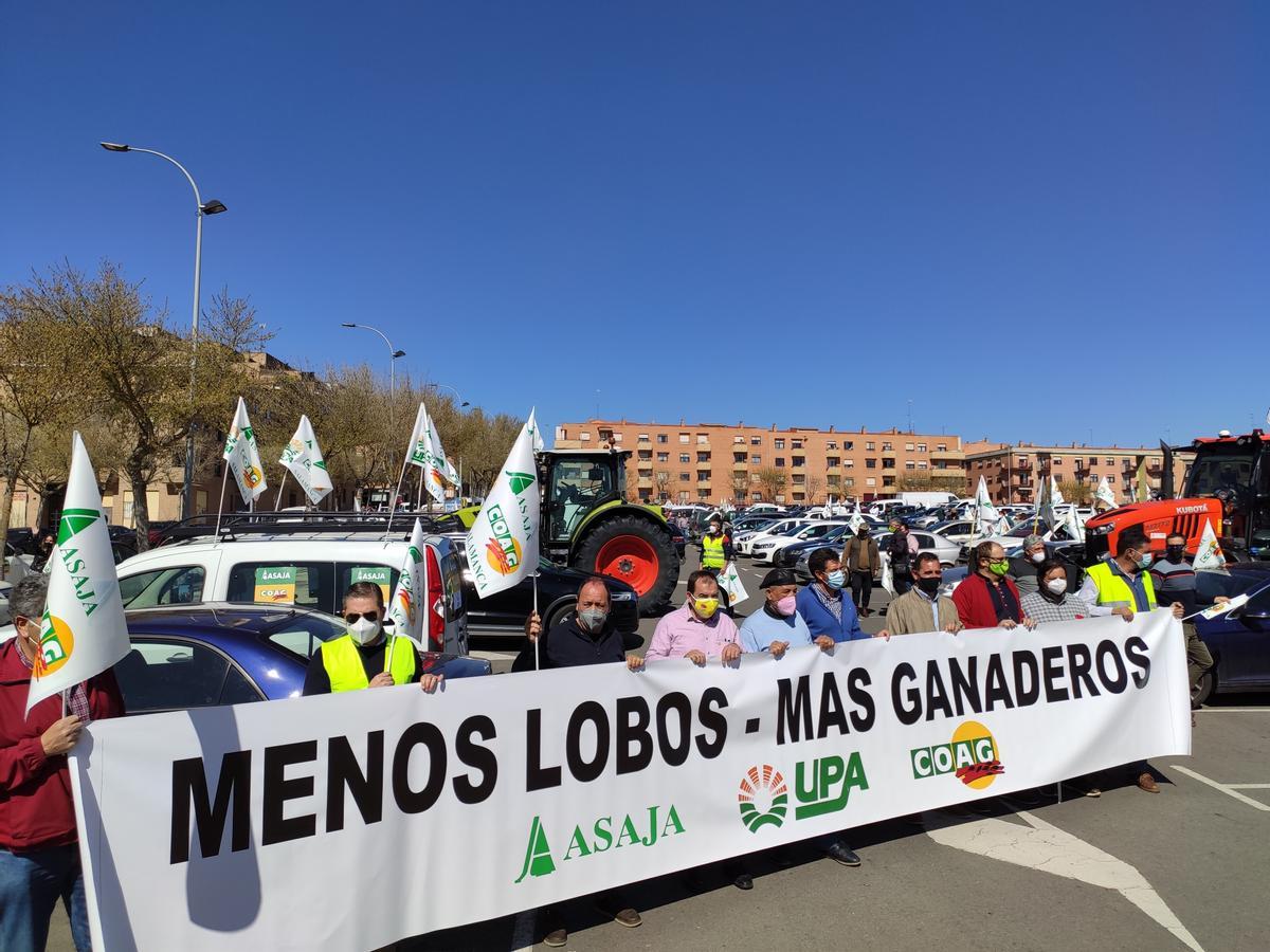 Manifestantes en Salamanca en contra de la sobreprotección del lobo.