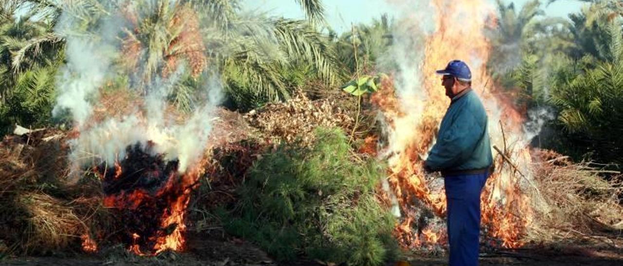 Un agricultor de la provincia quema restos de poda, en una imagen de archivo.