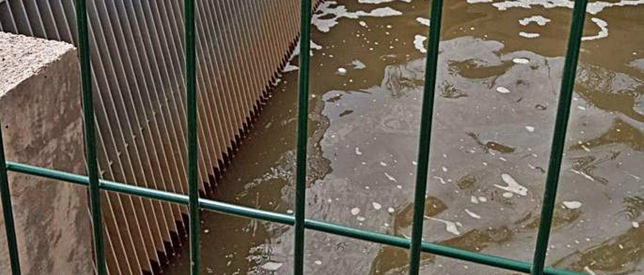 Las quejas no frenan el vertido de agua turbia de la gola a la playa de Sagunt | AA VV ALMARDÀ