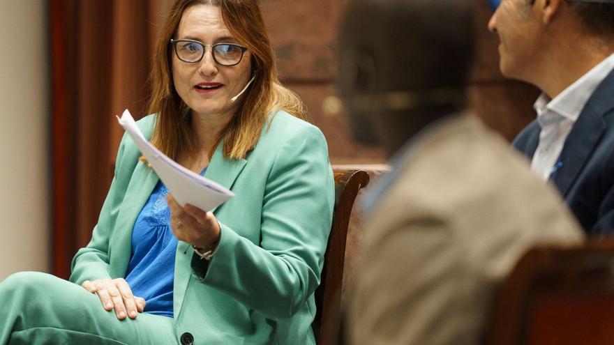 Candelaria Delgado durante su intervención en las jornadas ‘Conecta Canarias-Europa’, en el Parlamento regional. | | EFE