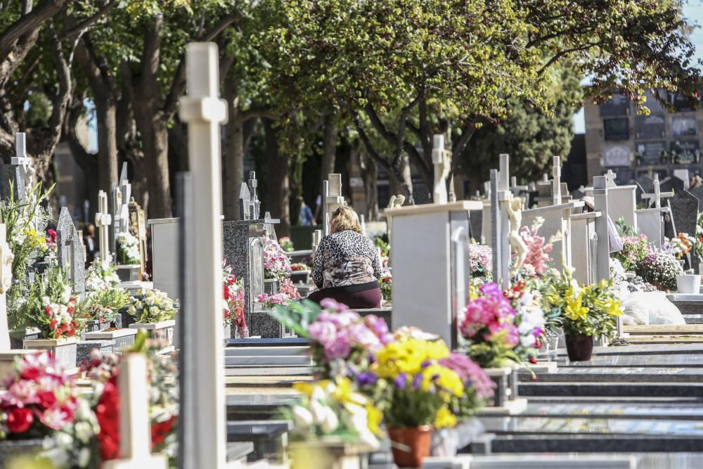 Lleno en el Cementerio de Alicante