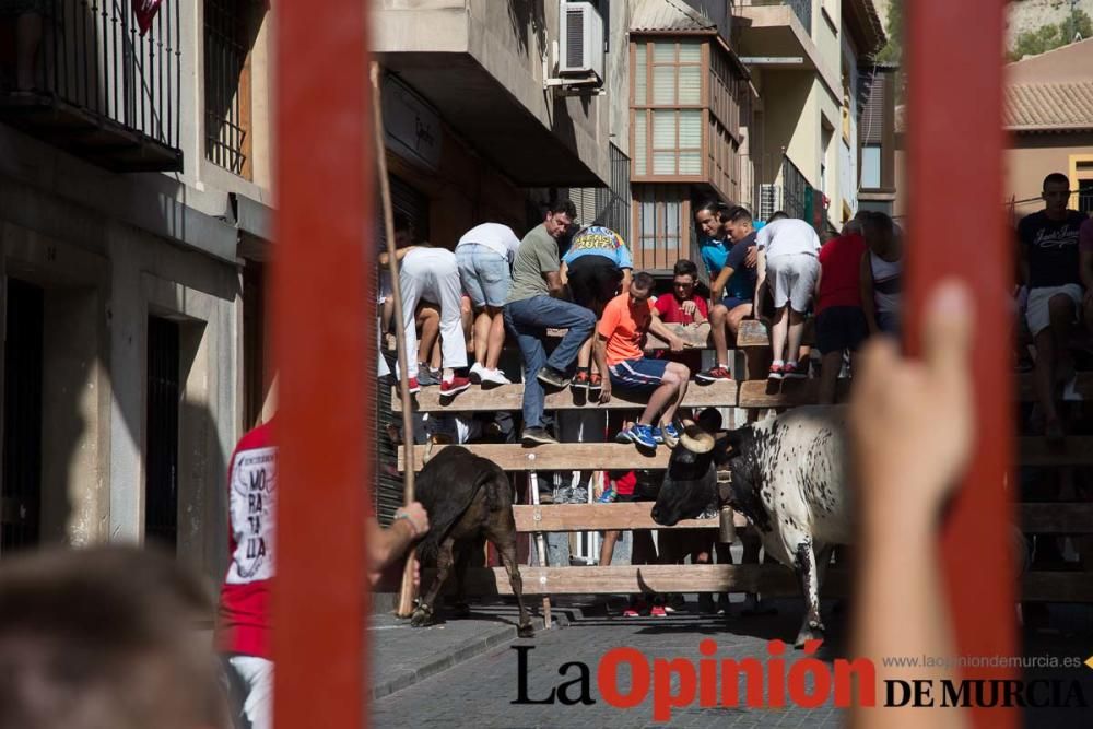 Primer encierro Fiestas de Moratalla