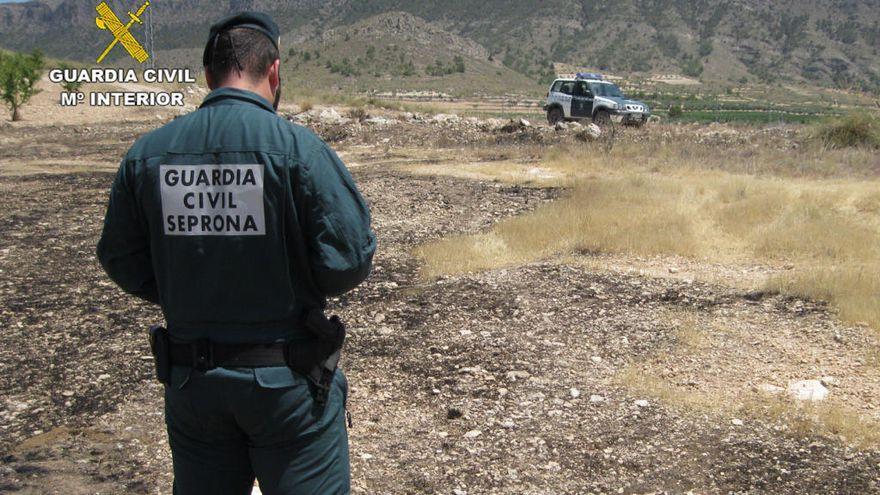 Un agente del Seprona en Murcia.