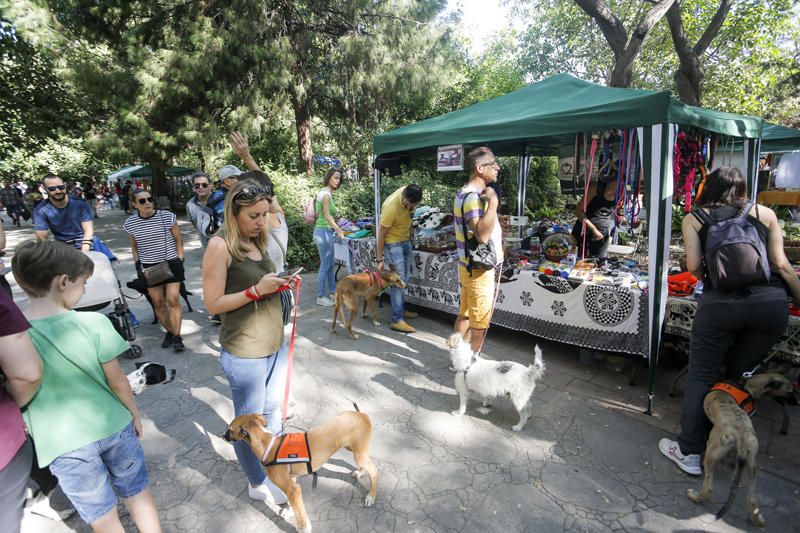 Feria Animalista en el cauce del Turia