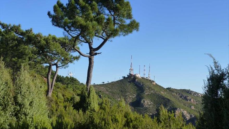 Els parcs naturals de Castelló celebren aquest mes el Dia de l&#039;Arbre