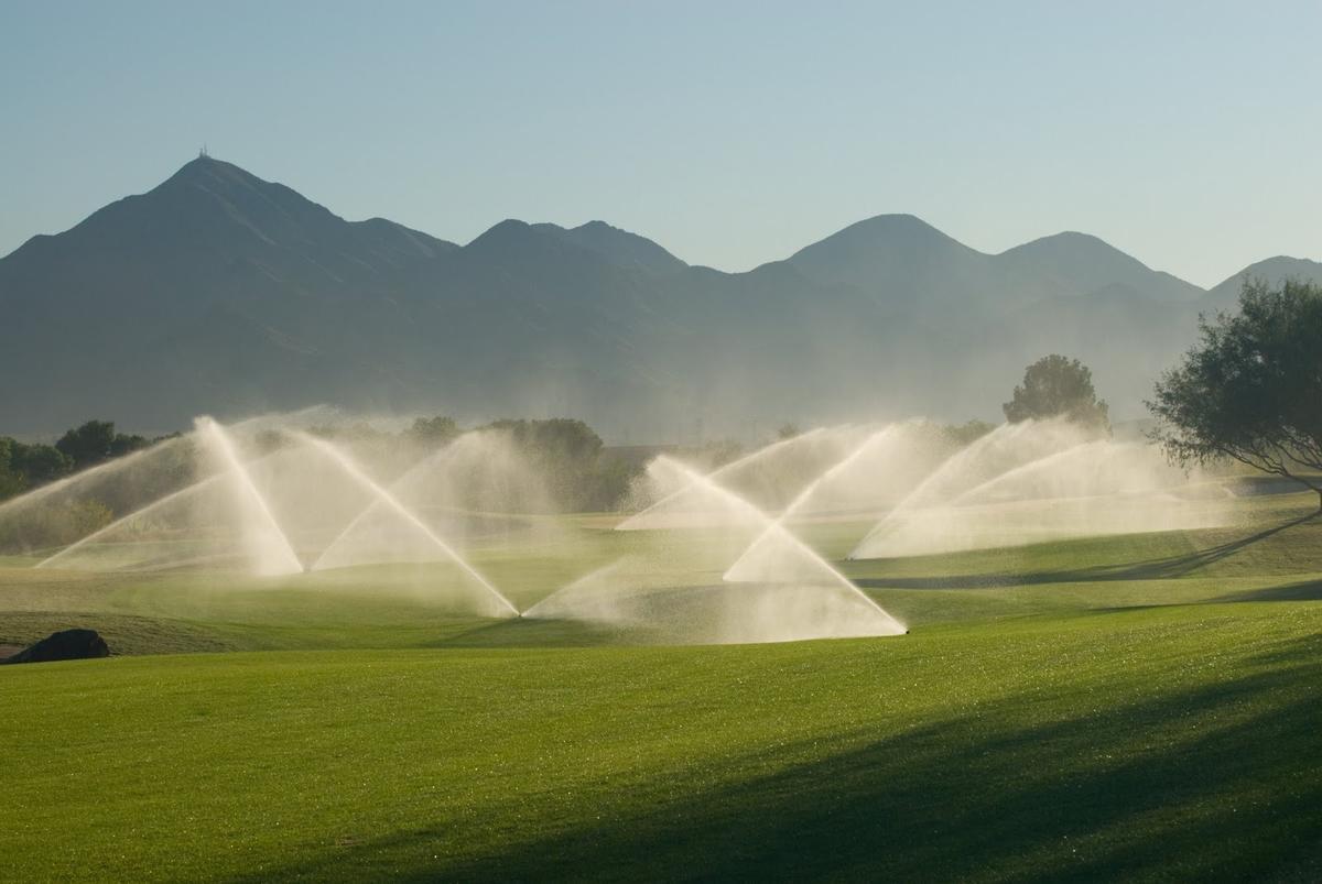 Activistas climáticos tapan con cemento hoyos de campos de golf por el gasto de agua