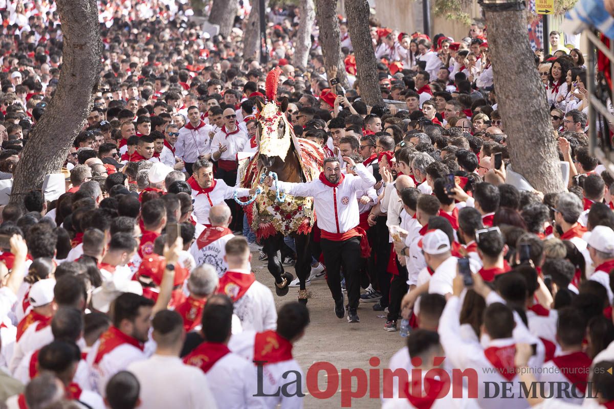 Así se ha vivido la carrera de Los Caballos del Vino en Caravaca