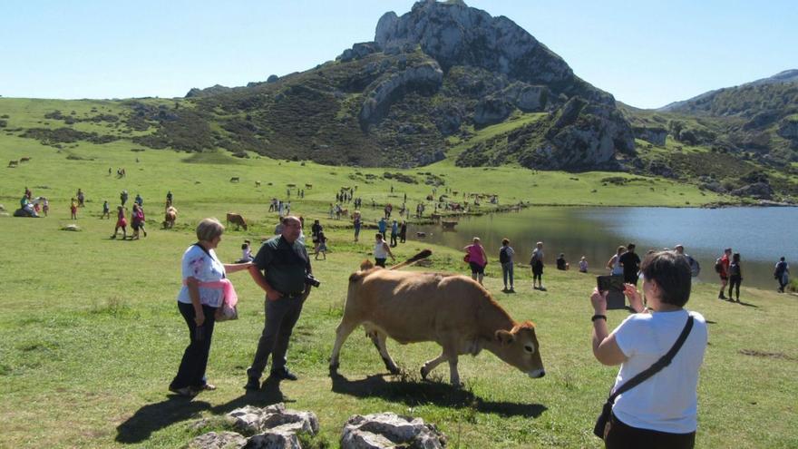 Reacciones a la tasa turística que quiere implantar Asturias:  escepticismo en el sector y división en el Gobierno