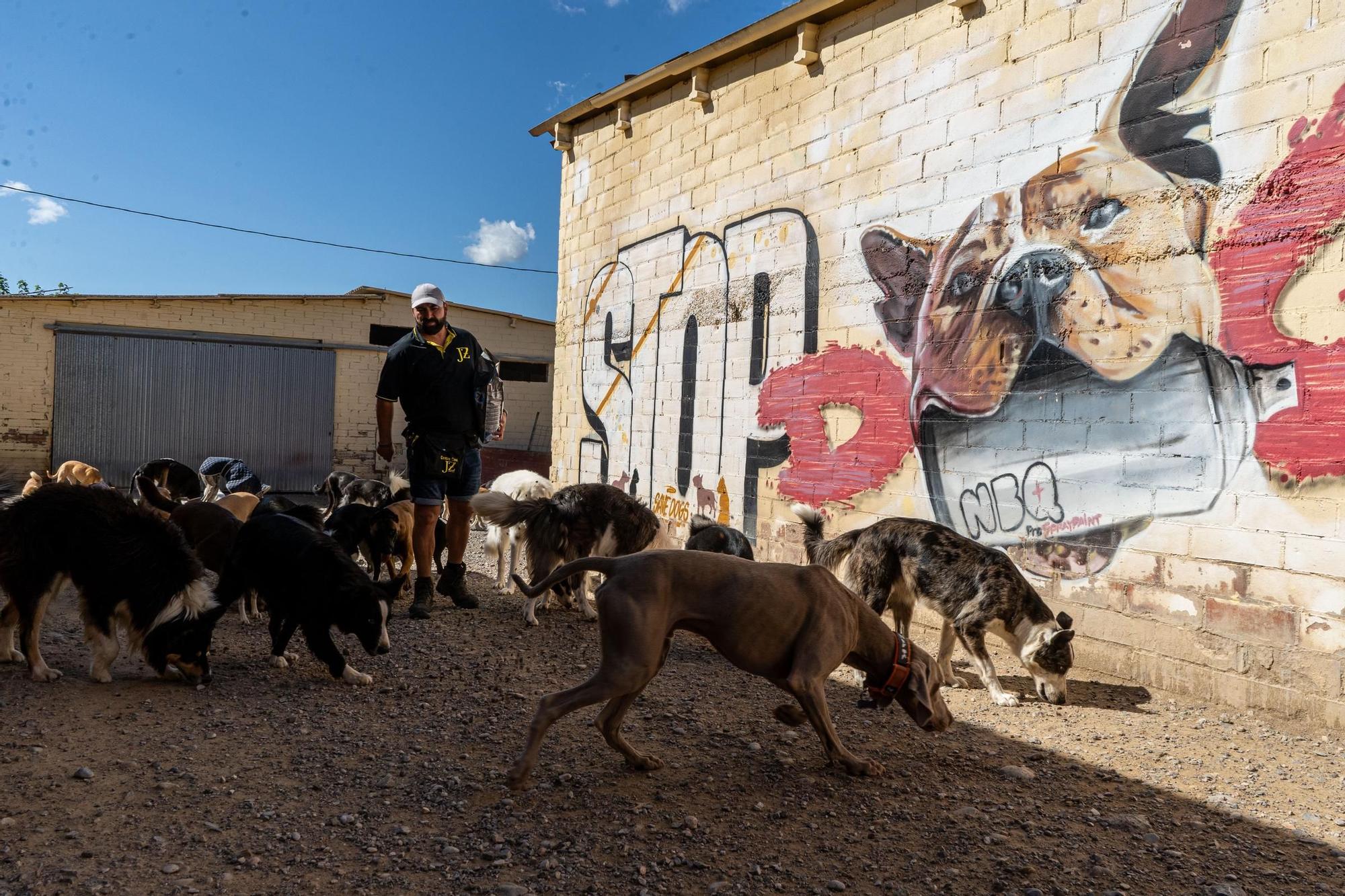 Residències canines: Centre Caní Jonatan Zafra, a Sant Fruitós de Bages