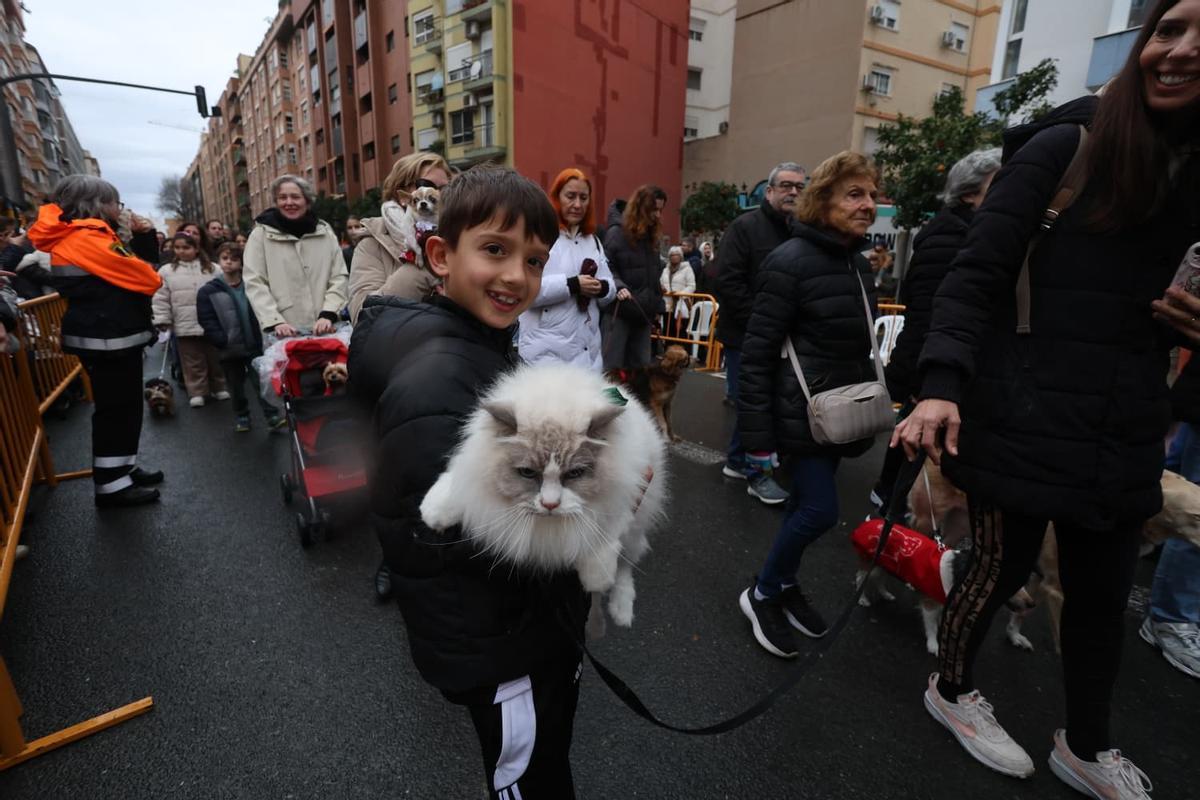 Bendición de animales por Sant Antoni en la calle Sagunt de València