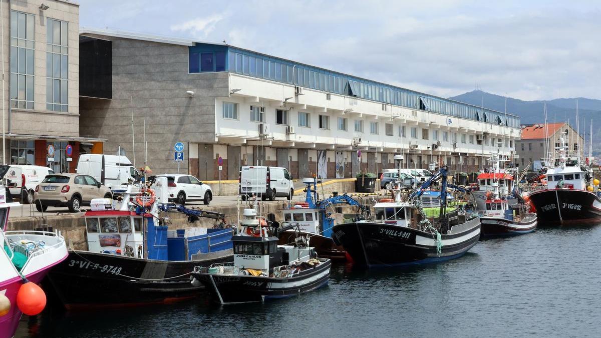 Un primer paso para reconocer a Vigo como capital europea de la pesca -  Faro de Vigo