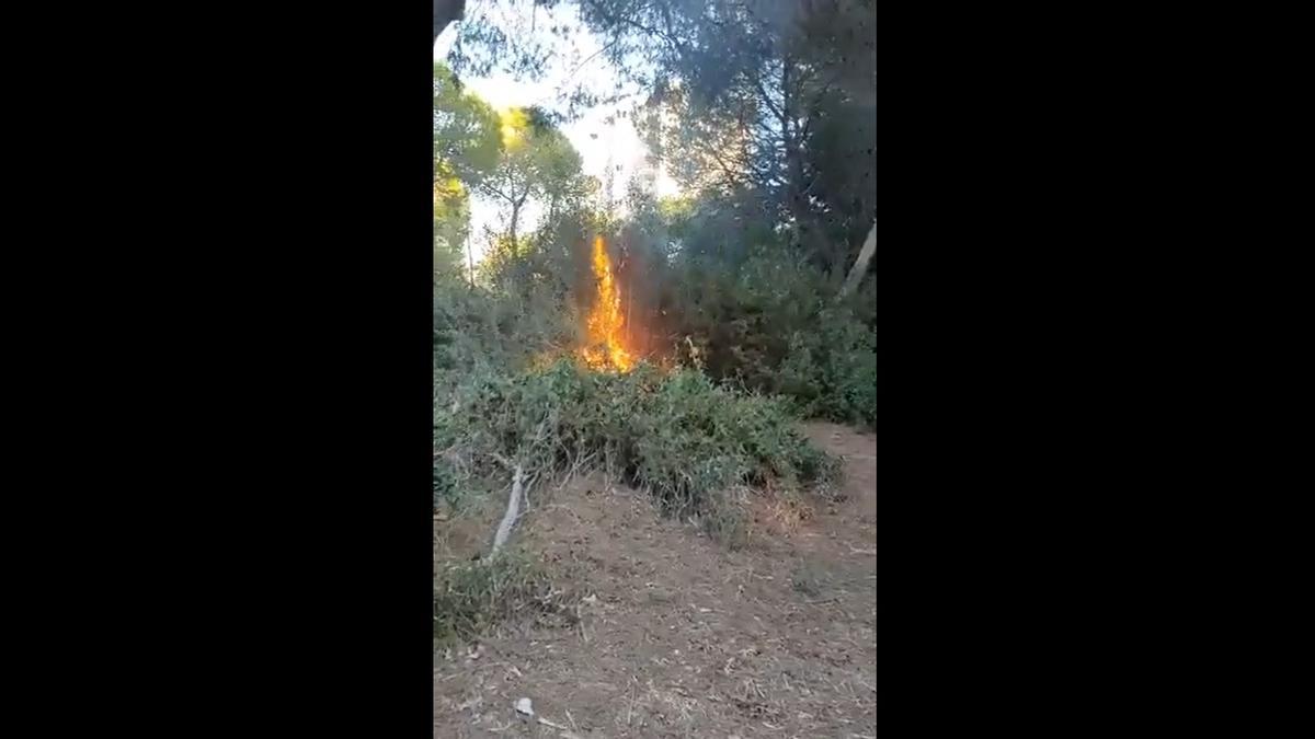 Video subido por el concejal de Vox en el que se aprecia que el fuego acaba de prender