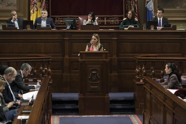 19/01/2017.CANARIAS.Pleno del Parlamento de Canarias..Fotos: Carsten W. Lauritsen