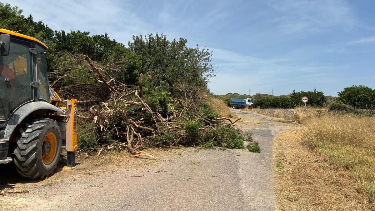 La brigada de caminos de Llíria culmina el desbroce de las pistas rurales.
