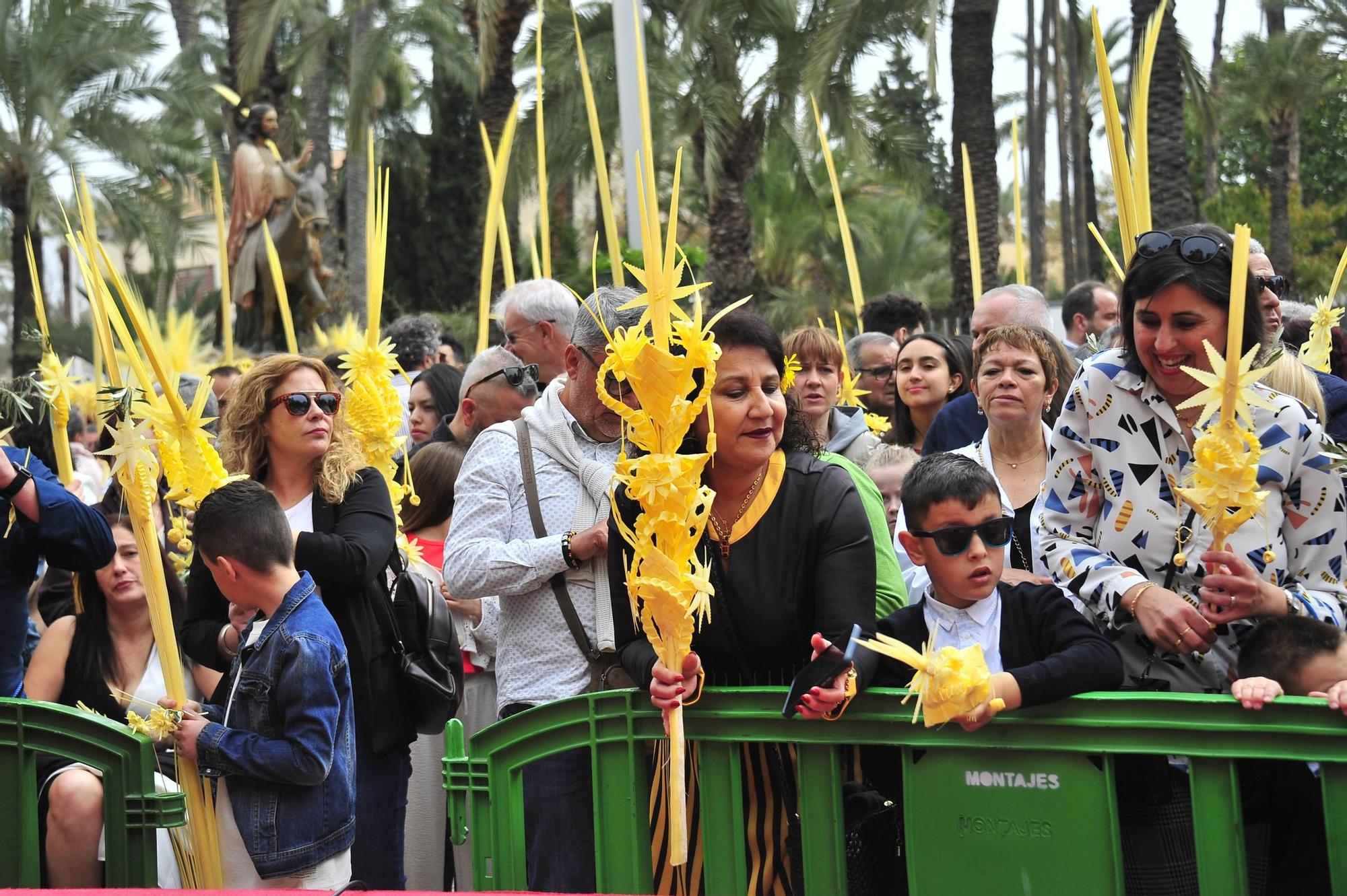 Miles de palmas blancas llenan Elche de tradición