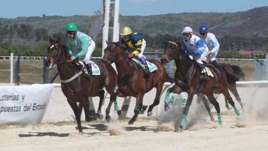 Una carrera celebrada en el Hipódromo de Antela. // Jesús Regal