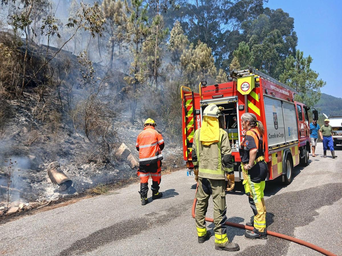 Algunos de los medios terrestres extinguiendo el fuego.