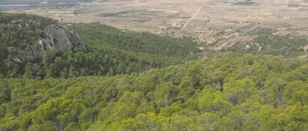 Vista de la Sierra de Salinas que se encuentra en el límite de las provincias de Alicante y Murcia.