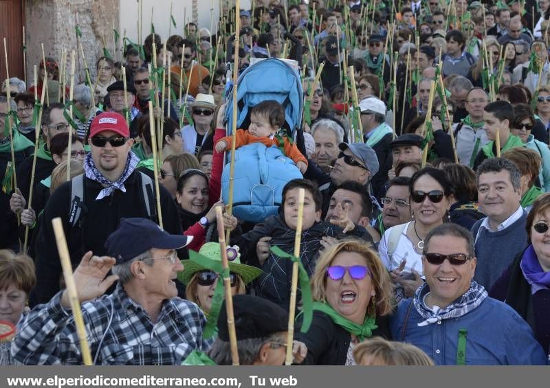 GALERÍA DE FOTOS - Romería Magdalena 2014 (4)