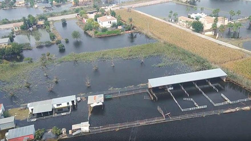 Granja inundada grabada desde un helicóptero por el Coordinador Veterinario del Centro de Salud Pública de Orihuela.