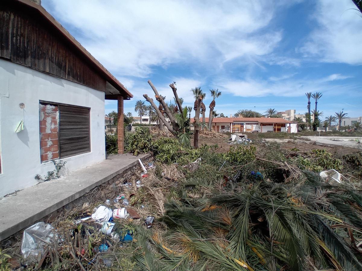 Trabajos de limpieza en una parcela de uso hotelero en La Veleta de Torrevieja