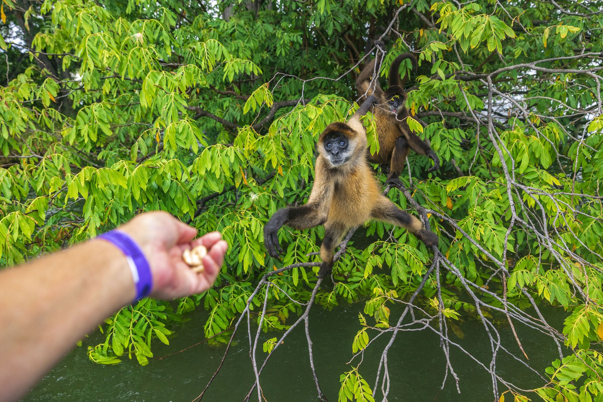 Nicaragua Viaje a Centroamérica