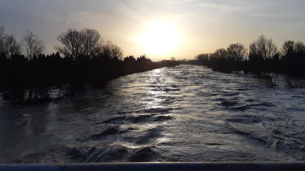 El creixement del Ter ha causat inundacions a Torroella