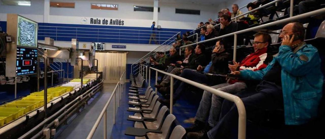 Compradores en una subasta de pescado en la rula de Avilés.