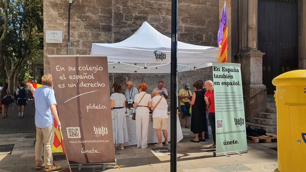 El punto informativo de 'Hablamos Español Baleares' en la calle San Miguel el pasado domingo.