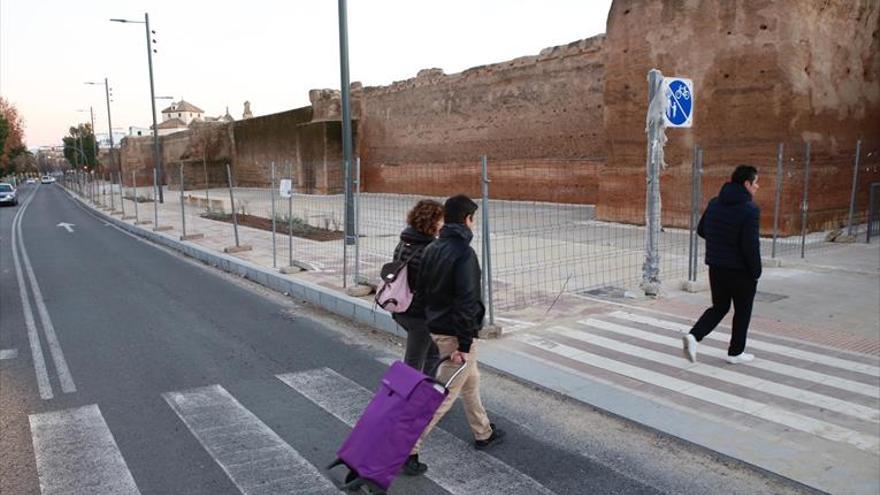 Piden reponer los árboles perdidos con el carril-bici