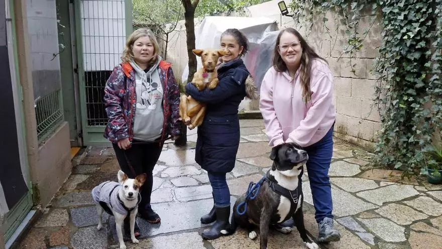Lanzan un SOS para un refugio vigués de animales