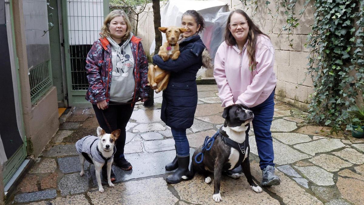 Lanzan un SOS para un refugio vigués de animales