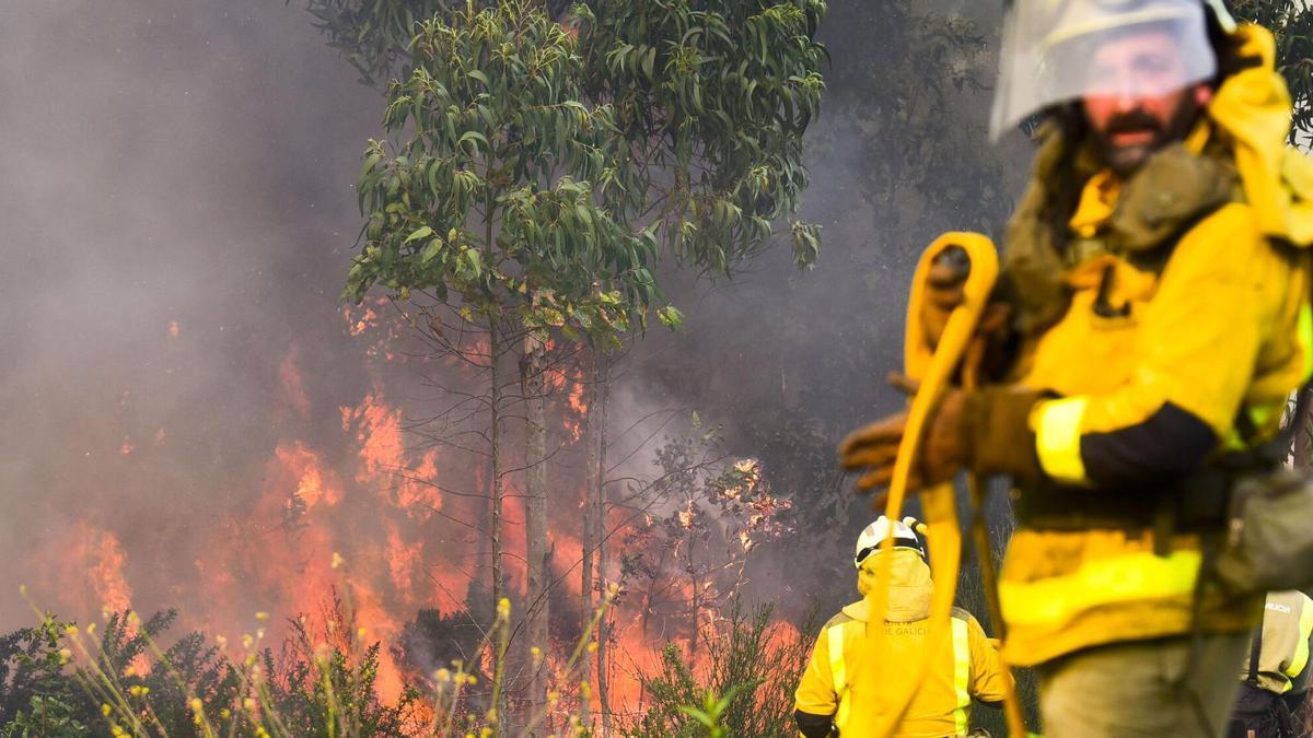 Un incendio forestal en Laracha (A Coruña)