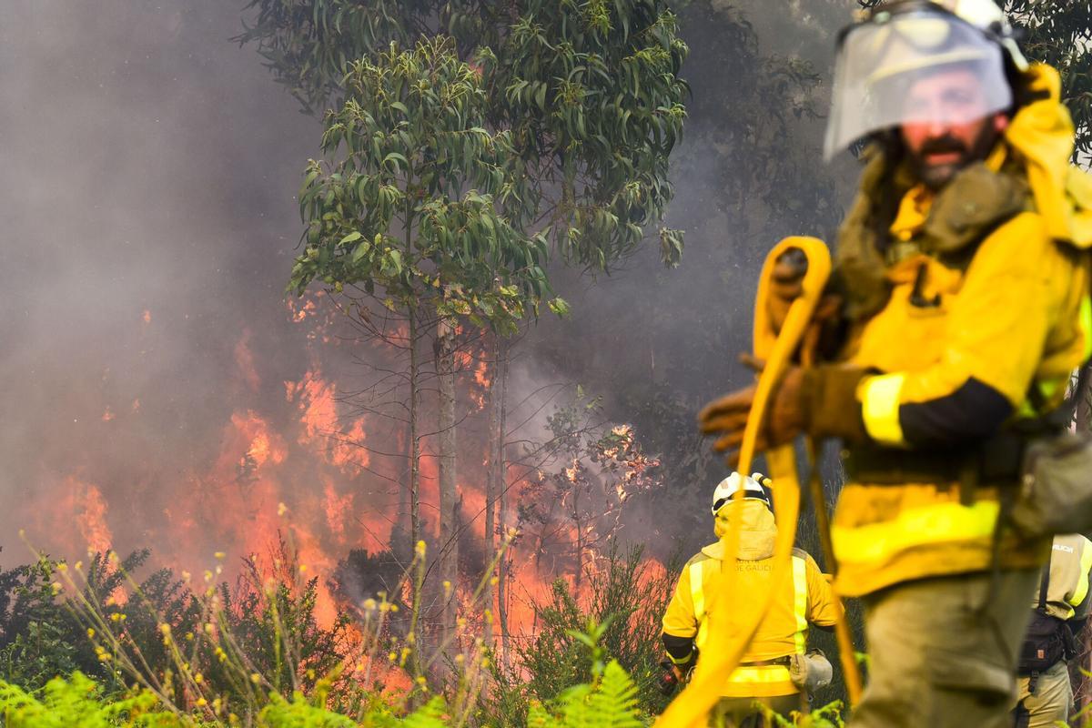 Un incendio forestal en Laracha (A Coruña)