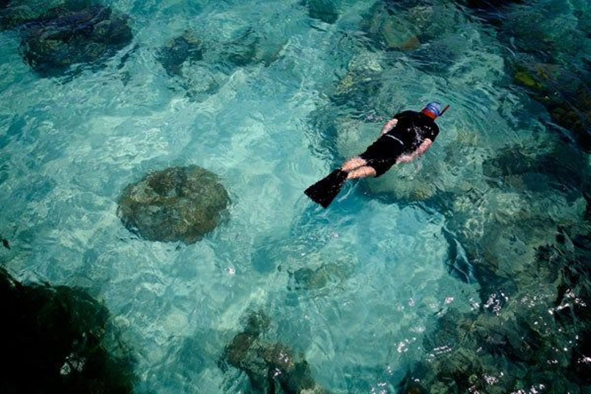 Turista practicando snorkel en los alrededores de Green Island.